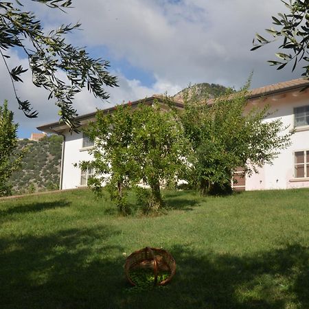 B&B Macchia D'Olmo Capaccio Exterior foto