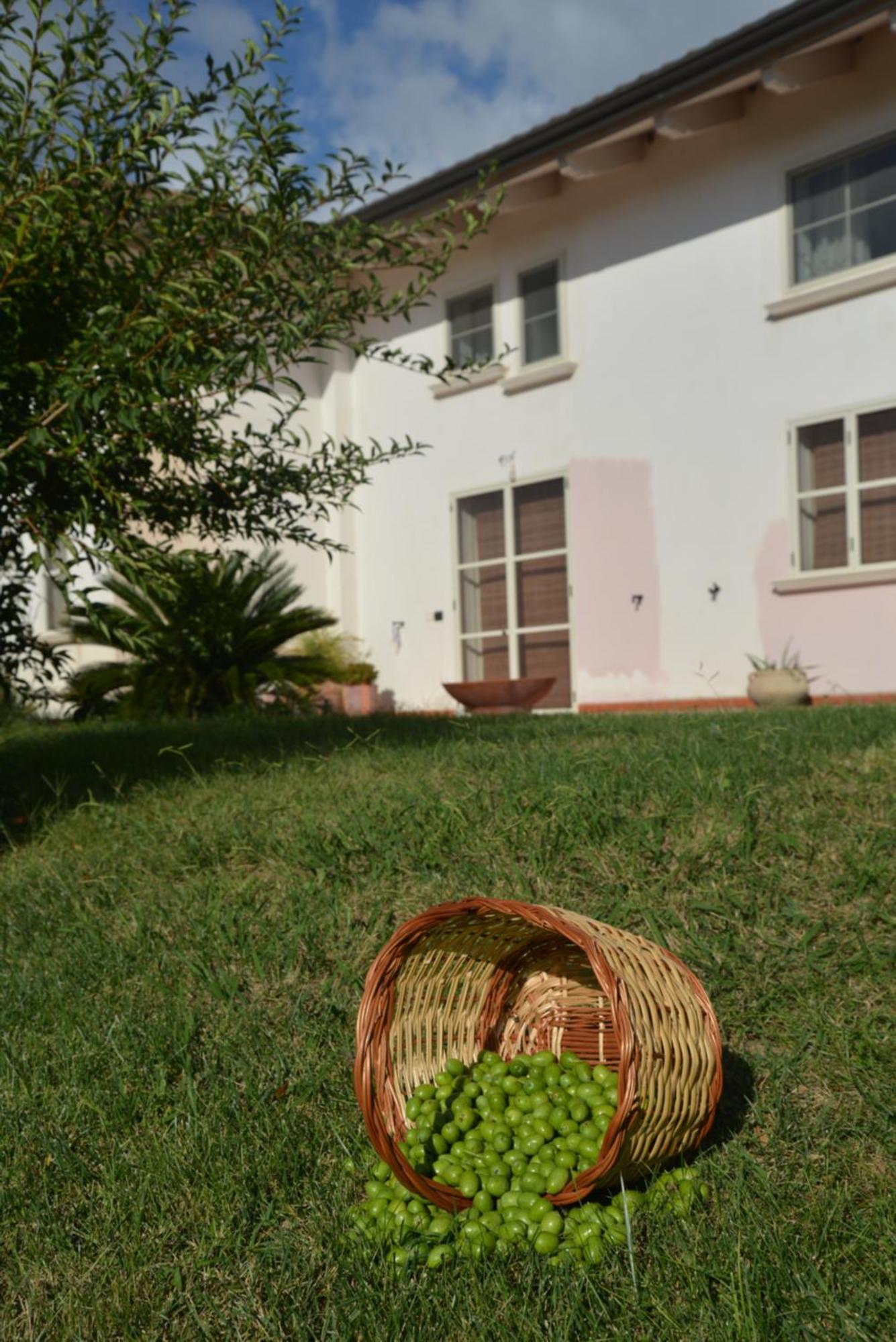 B&B Macchia D'Olmo Capaccio Exterior foto