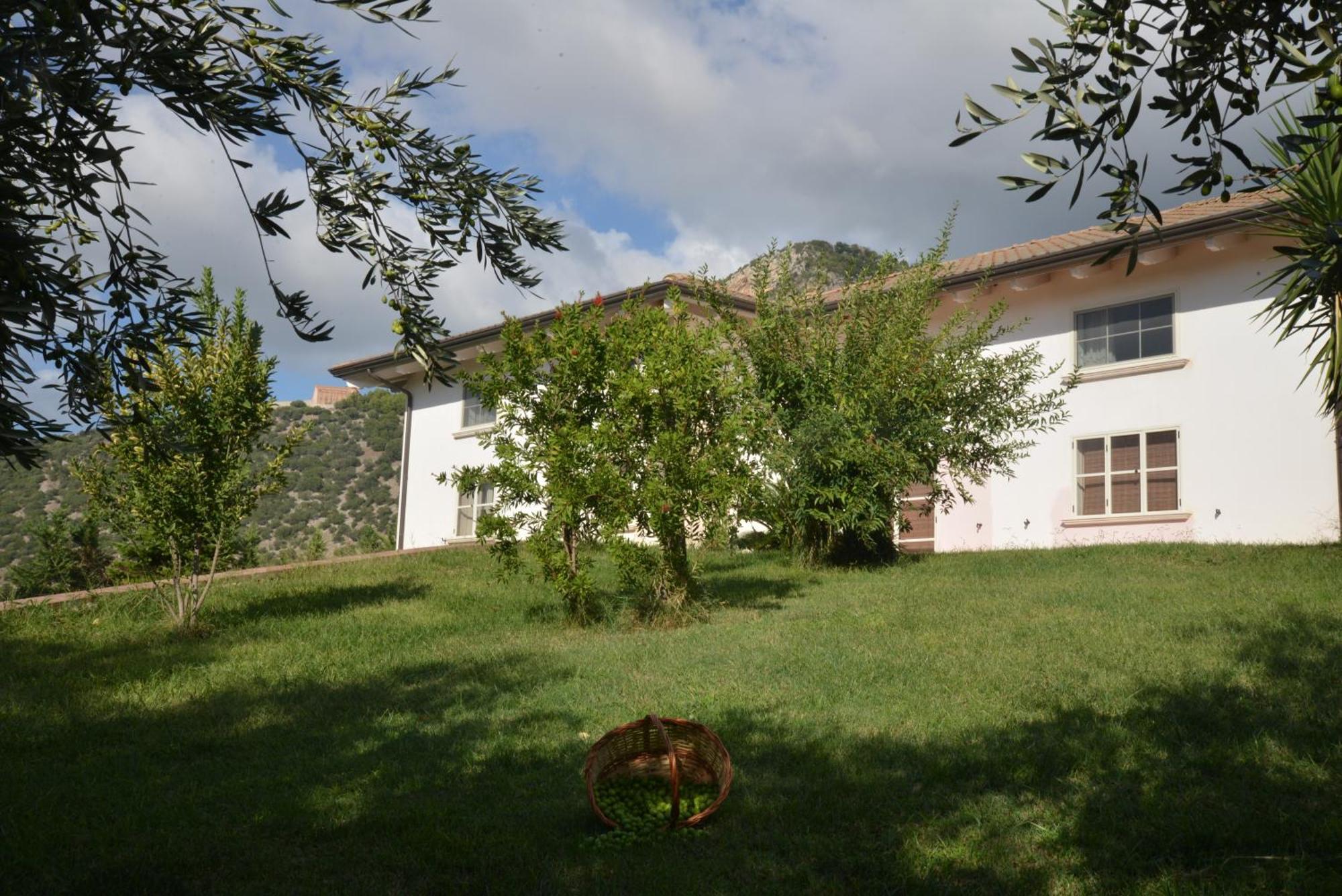 B&B Macchia D'Olmo Capaccio Exterior foto