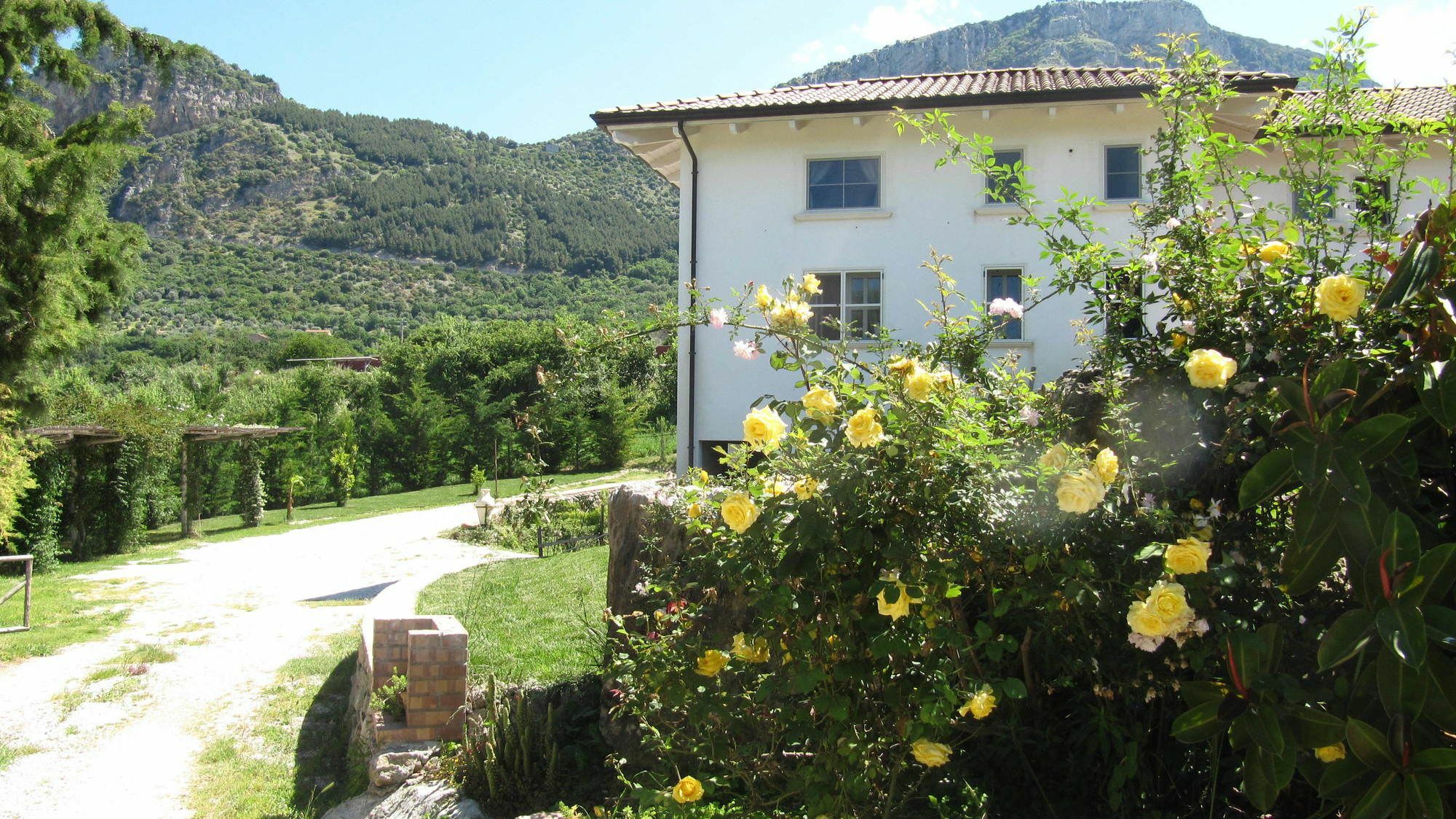 B&B Macchia D'Olmo Capaccio Exterior foto