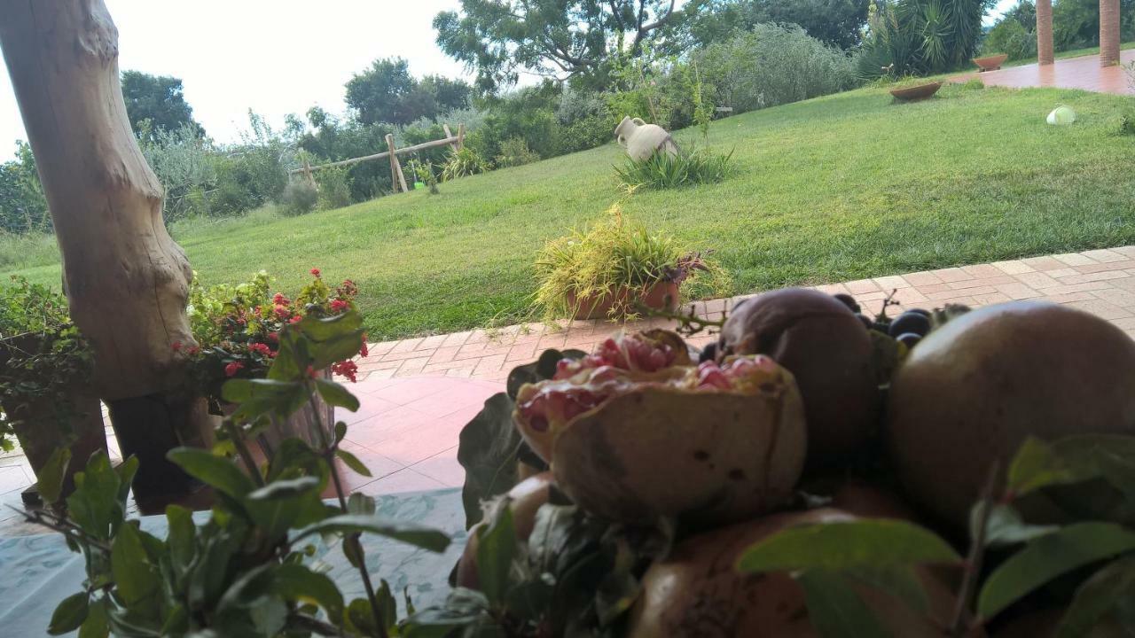 B&B Macchia D'Olmo Capaccio Exterior foto