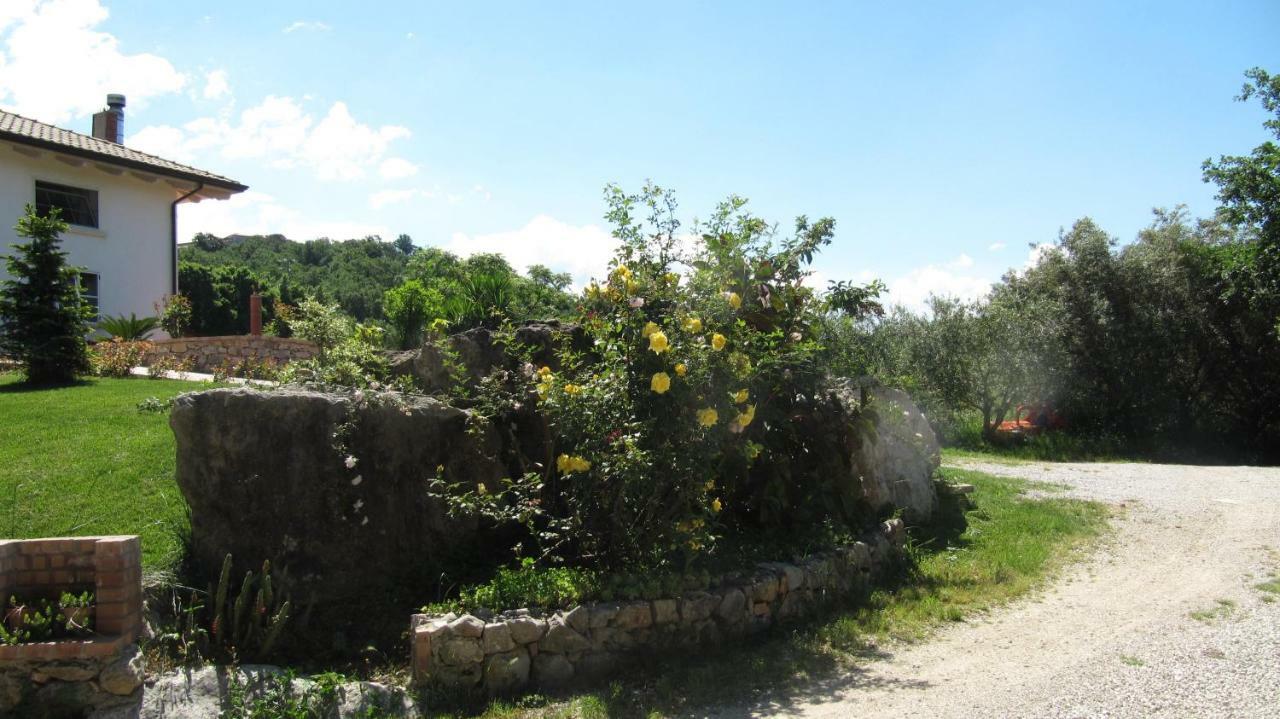 B&B Macchia D'Olmo Capaccio Exterior foto