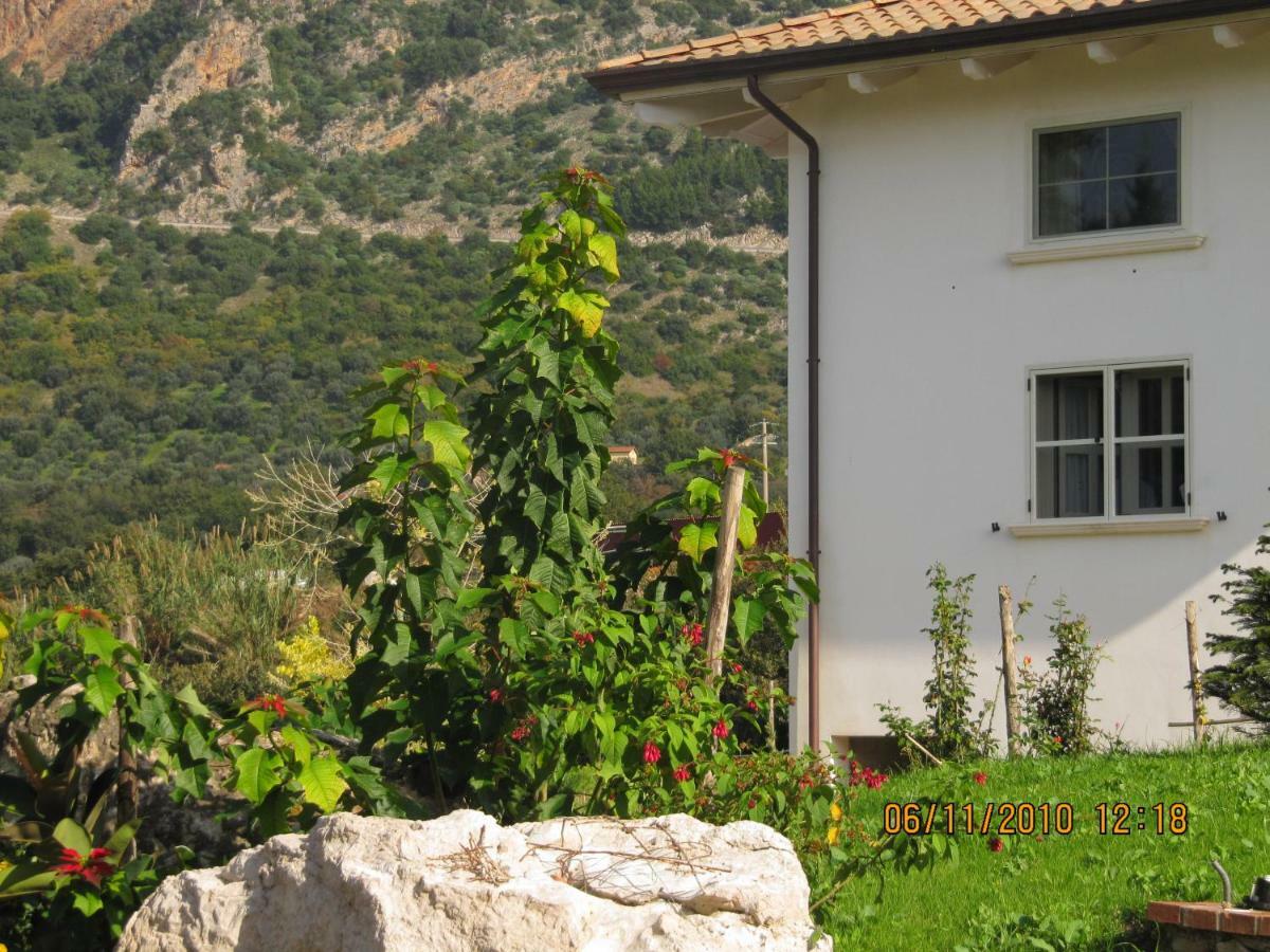 B&B Macchia D'Olmo Capaccio Exterior foto