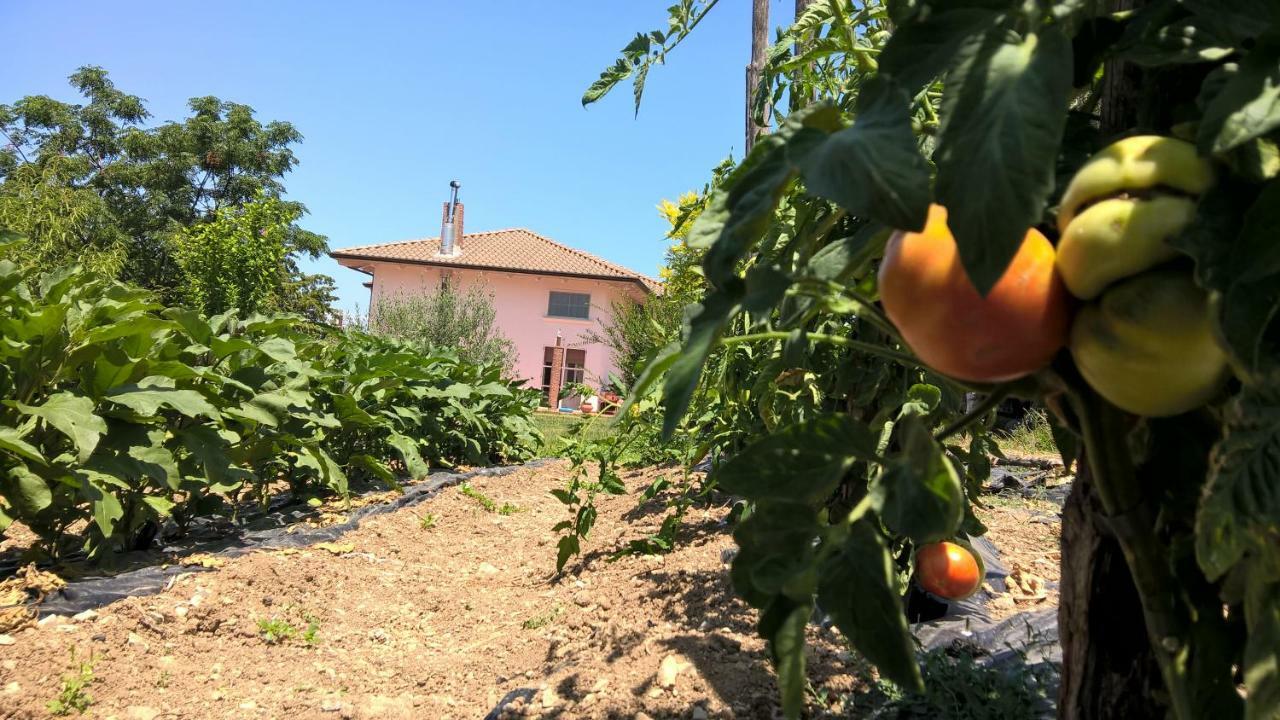 B&B Macchia D'Olmo Capaccio Exterior foto