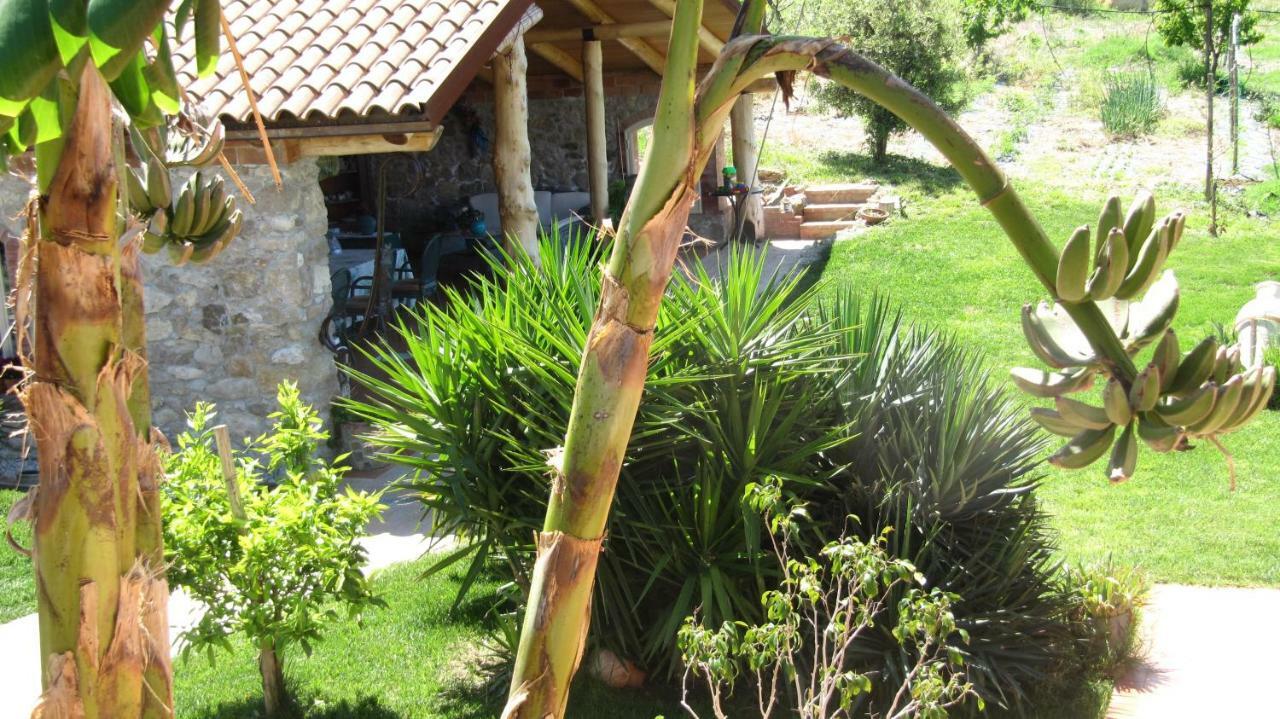 B&B Macchia D'Olmo Capaccio Exterior foto