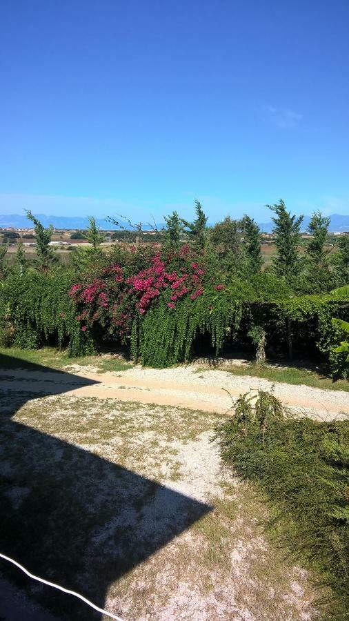 B&B Macchia D'Olmo Capaccio Exterior foto